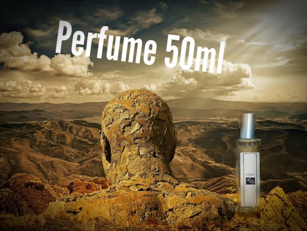 Perfumes hombre 50 ml Le parfum Secret