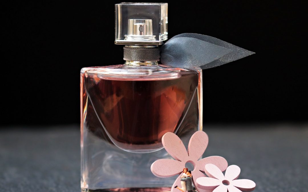 Produce Distinguir bloquear ▷ Qué Perfumes Usan las Famosas Españolas ⭐
