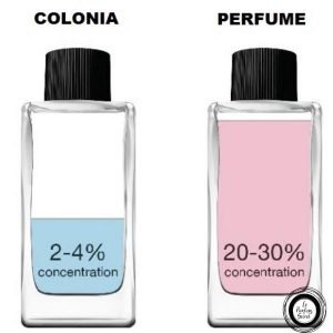 concentración colonia y perfume
