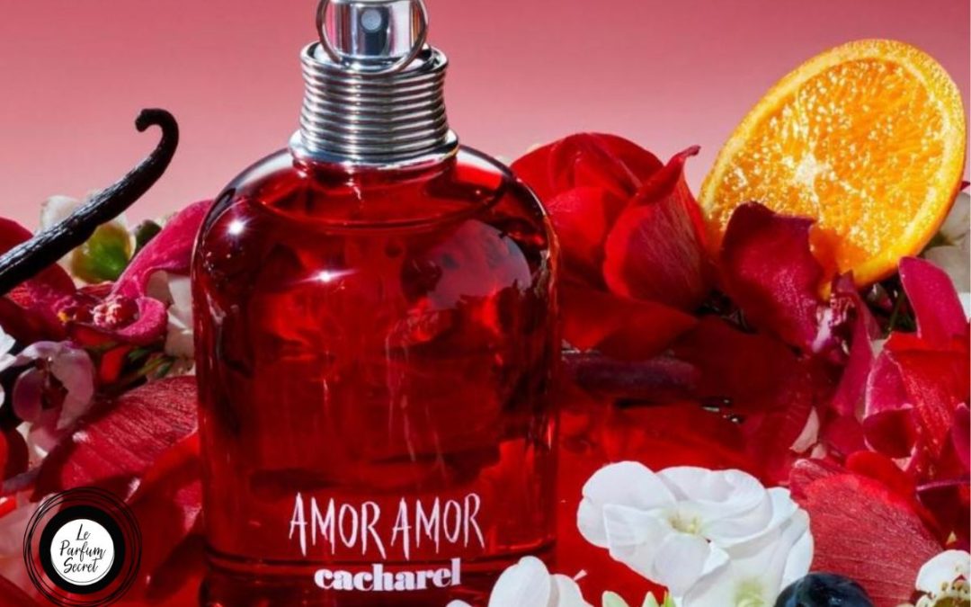 Perfumes Parecidos a Amor Amor